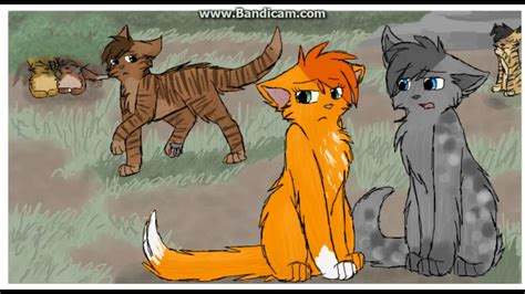 squirrelflight and ashfur it took me by surprise youtube