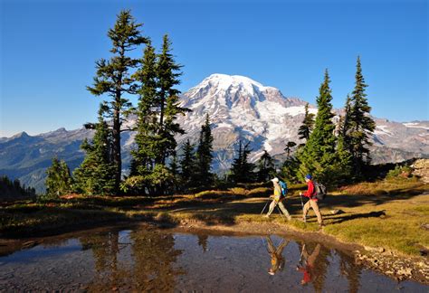 Visit Mt Rainier Your Mt Rainier Trip Planner Best Time To Visit