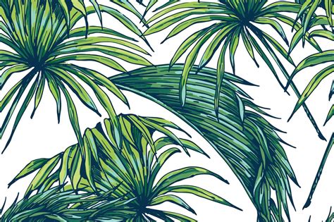 Tropical Leaves Desktop Wallpapers Top Free Tropical