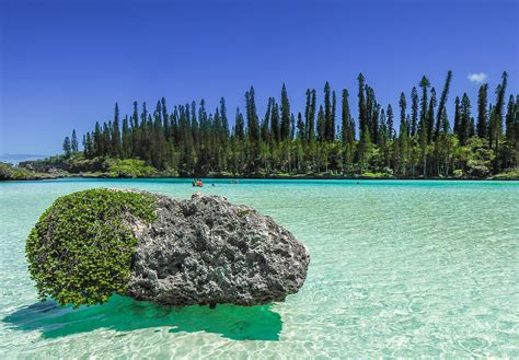 Mybestplace The Isle Of Pines The Precious Pearl Of New Caledonia