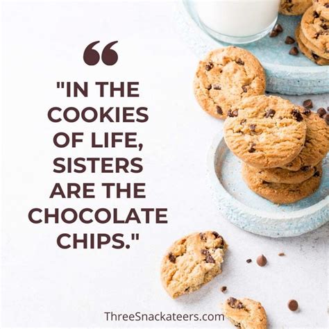 75 Best Cookie Quotes And Captions The Three Snackateers