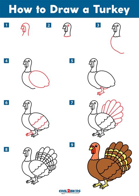 How To Draw A Turkey Step By Step For Kids