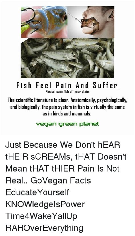 Fish Feel Pain And Suff Er Please Leave Fish Off Your Plate The