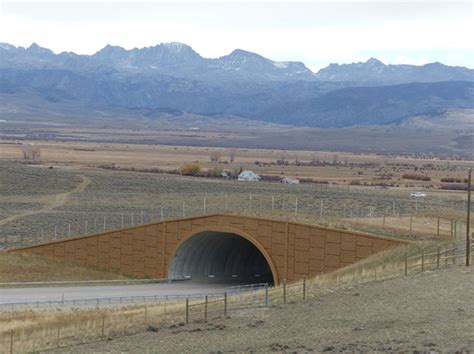 Wildlife Overpass Pinedale Online News Wyoming