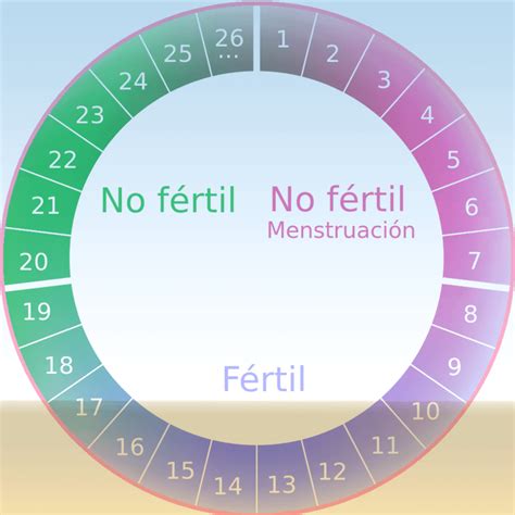 calculadora de ciclo o periodo menstrual todo lo que necesitas saber my xxx hot girl