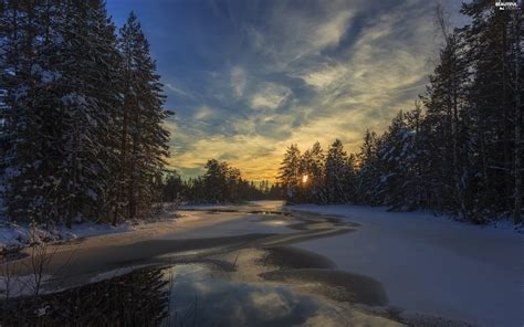 Forest Winter Viewes River Trees Sunrise Beautiful