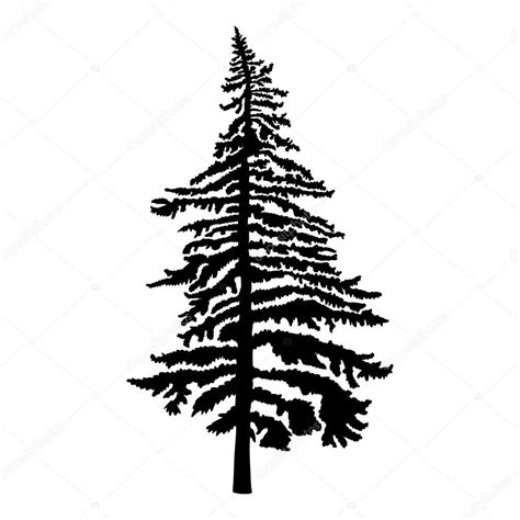 Pine Tree Silhouette ⬇ Stock Photo Image By © Goldenshrimp 125908372