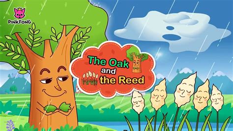 The Oak And The Reed Aesops Fables Pinkfong Story Time For