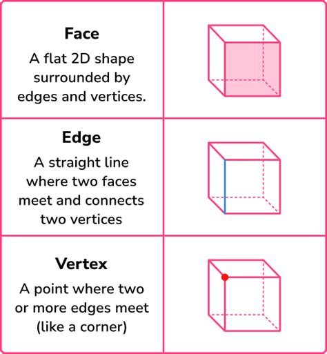 Faces Edges And Vertices Worksheets Library