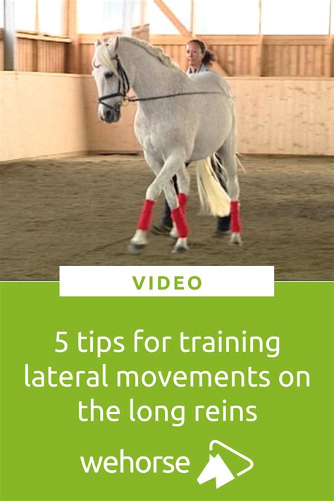 Lateral Work In Long Reins How To Successfully Achieve It Horses