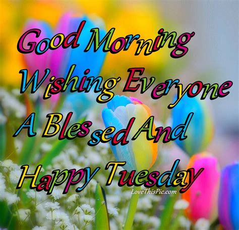 Good Morning Everyone Have A Blessed Tuesday Pictures