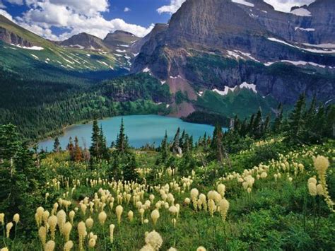 Beargrass Above Grinnell Lake Many Glacier Valley Glacier National
