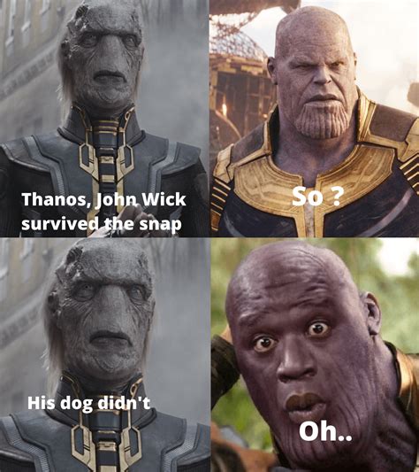 So Thanos John Wick Survived The Snap His Dog Memegine