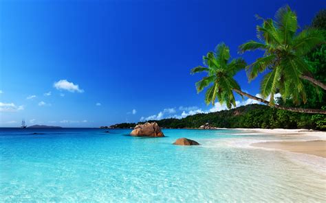 Tropical Paradise Beach Ocean Sea Palm Summer Coast 2560x1600