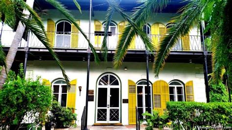 According to the hemingway house and museum website, about half of the cats at the museum have the physical polydactyl trait but they all carry the polydactyl gene in their dna, which means that the ones that have four and five toes can. 20 Things to Do in Key West for the First-Timer | Key west ...