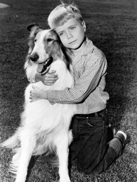 Lassie Classic Tv Shows Pinterest
