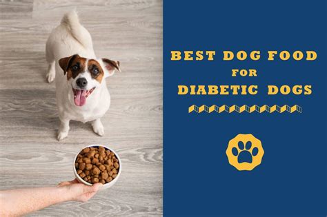 Best Dog Food For Diabetic Dogs In 2021 Reviews And Buyer Guide