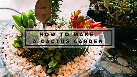 They say that cactus gardens are only for busy people or those who need greenery that has minimal maintenance requirements. How To Make A Cactus Garden - Be At Home Utah