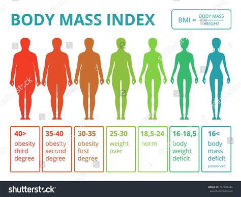 Medical Infographics Illustrations Female Body Mass Stock Vector Royalty Free