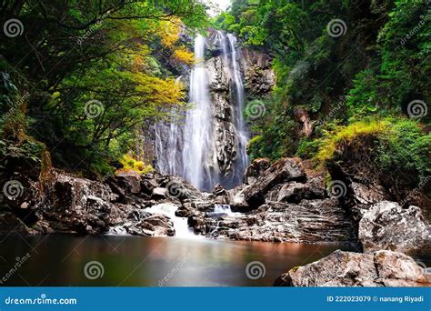 Beautifull Waterfall From Kawaminami Town Miyazaki Japan Editorial