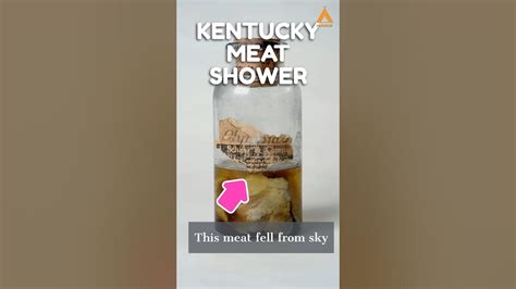 Kentucky Meat Shower Of 1876 When Literally Meat Fell From The Sky