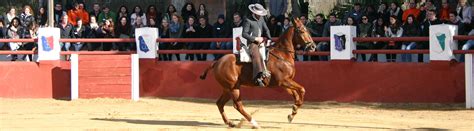Check spelling or type a new query. Eventos | Finca para bodas, comuniones, eventos - La Chopera