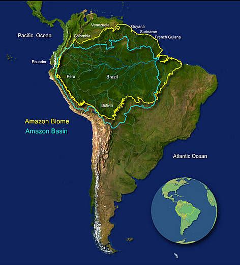 Where The Amazon River Begins Rpics