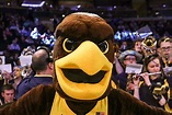 Marquette University - Golden Eagle Mascot - Olympus Mascots