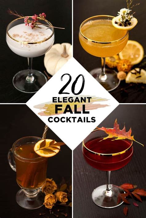 Elegant Fall Cocktails Fall Cocktails Fall Drink Recipes Pumpkin Cocktail