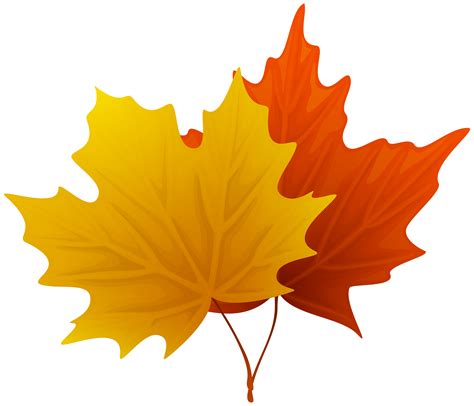 Maple Leaf Clipart Png Png Image Collection