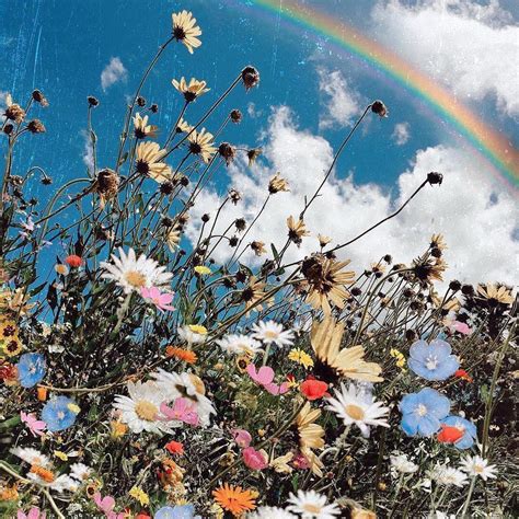 Indie Flower Wallpapers Top Free Indie Flower Backgrounds