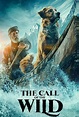 The Call of the Wild (2020) - Posters — The Movie Database (TMDB)