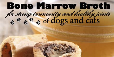 Each of the broths featured in this article is easy to make and store in the freezer. Katerina's Journal: Bone Marrow Broth For Your Dog and Cat ...