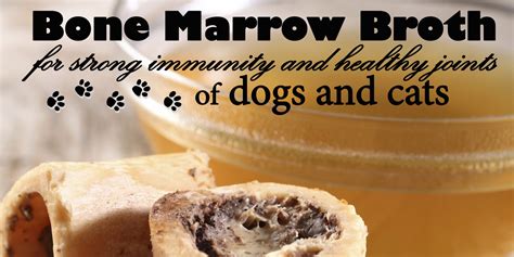This is a simple bone broth recipe that is said to help reduce joint pain and inflammation. Katerina's Journal: Bone Marrow Broth For Your Dog and Cat ...