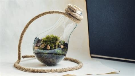 Check spelling or type a new query. Comment réutiliser une ampoule grillée pour la décoration ...