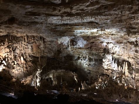 Explore Natural Bridge Caverns