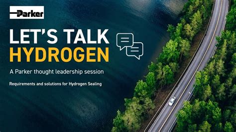 Lets Talk Hydrogen Requirements And Solutions For Hydrogen Sealing