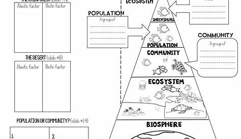 Ecosystem PowerPoint and Notes | Biology classroom, Teaching science