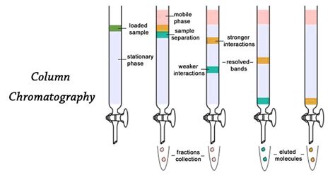 Column Chromatography Definition Principle Parts Steps Uses