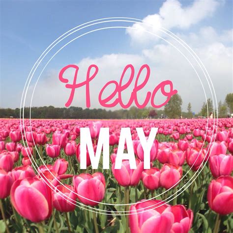 Hello May Tulips In Lisse The Netherlands Hello May Welcome May