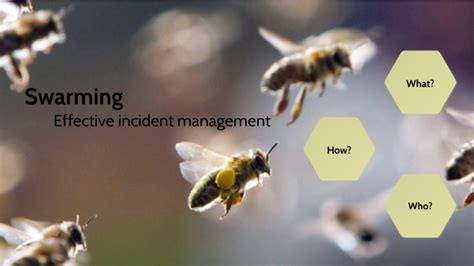 Swarming Incident Management By Abigail Wilson