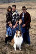 Lassie (1994 film) ~ Complete Wiki | Ratings | Photos | Videos | Cast