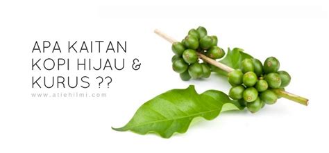 Salah satu trik dan cara minum vietnam drip adalah dengan mengaduk kopi dan krimer kental manis terlebih dahulu. BETUL KE MINUM KOPI HIJAU ALANA BOLEH TURUNKAN BERAT BADAN ...