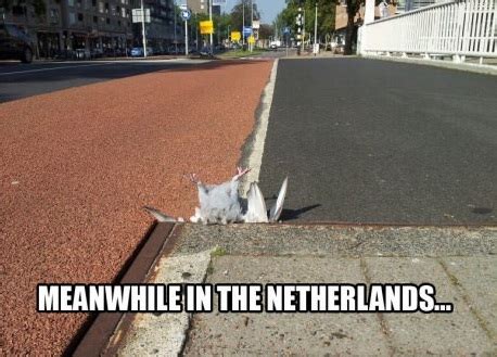 Meanwhile, in the Netherlands