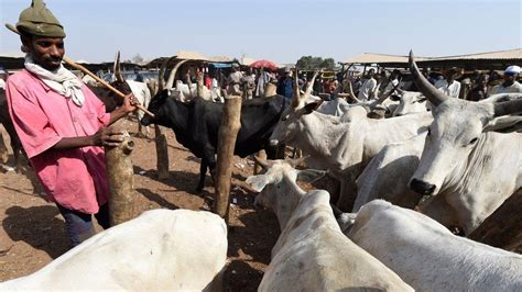 How Misinformation Aggravates Farmers Herders Conflict In Nigeria