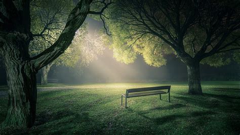 1080p Free Download Park Bench Under A Light At Night Lamp Grass