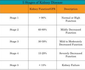 If you are diagnosed with stage 4 ckd, work with your health care team to learn about treatment there are five stages of ckd, with kidney failure as the final stage. End Stage Renal Disease - NephCure Kidney International