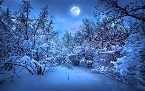 Blue Winter Wallpapers Top Free Blue Winter Backgrounds Wallpaperaccess