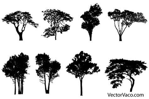 Free Tree Silhouette Vectors