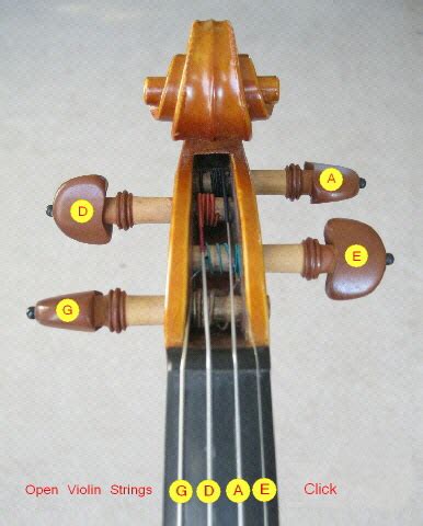For standard tuning, these are tuned with an interval of a perfect fifth between each and organised in ascending order, from the lowest note to the highest: Tune a Violin - Online Violin Tuner